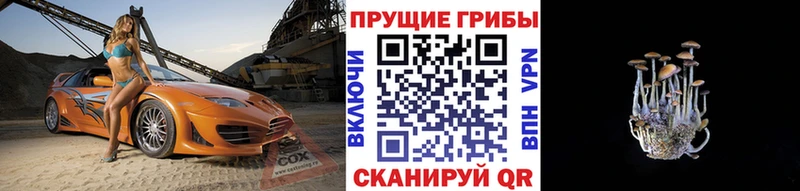 Галлюциногенные грибы ЛСД  Сегежа 