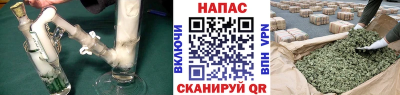 Каннабис марихуана Сегежа
